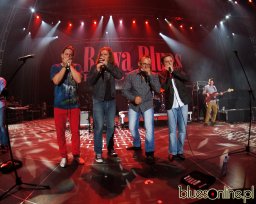 Harmonijkowy Atak - Rawa Blues 2012 (11)